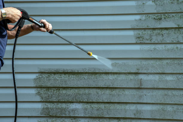 Best Roof Pressure Washing  in Blasdell, NY