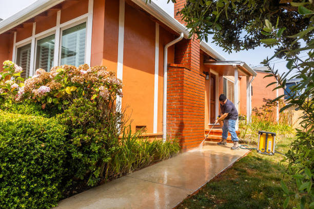 Best Exterior Home Cleaning  in Blasdell, NY