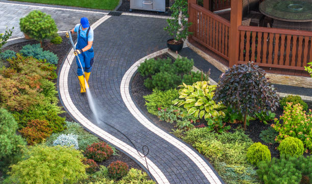 Best Deck Cleaning Services  in Blasdell, NY